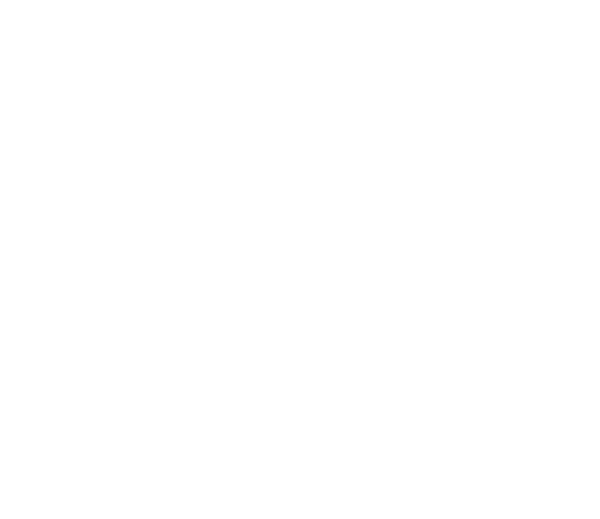 svatební agentura